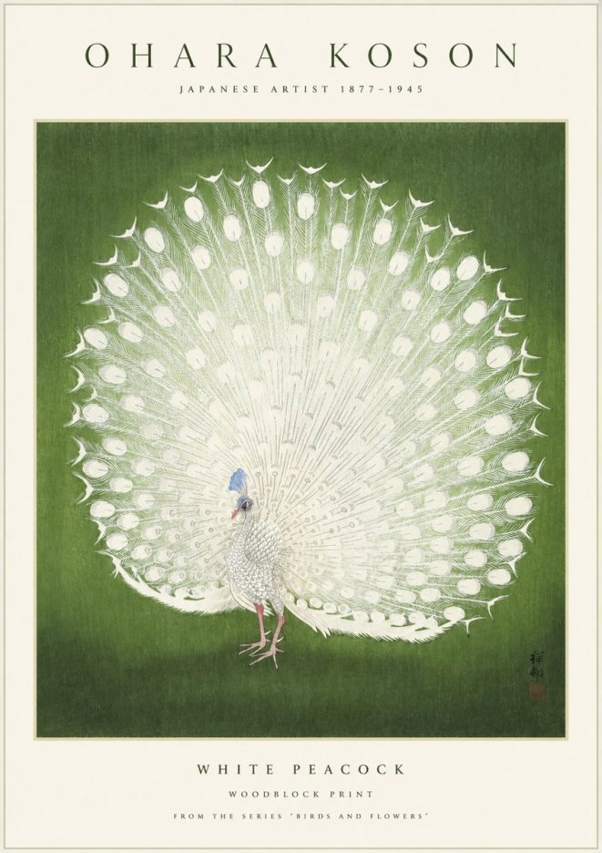Ohara Koson White Peacock No1 - Affiche