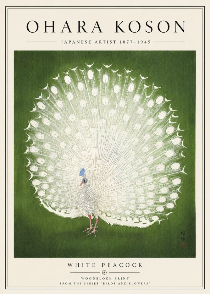Ohara Koson White Peacock No5 - Affiche