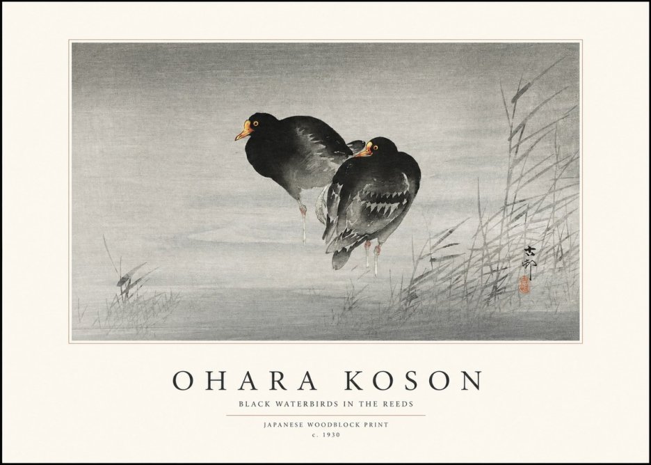 Ohara Koson Black Waterbirds in the Reeds No1 - Affiche