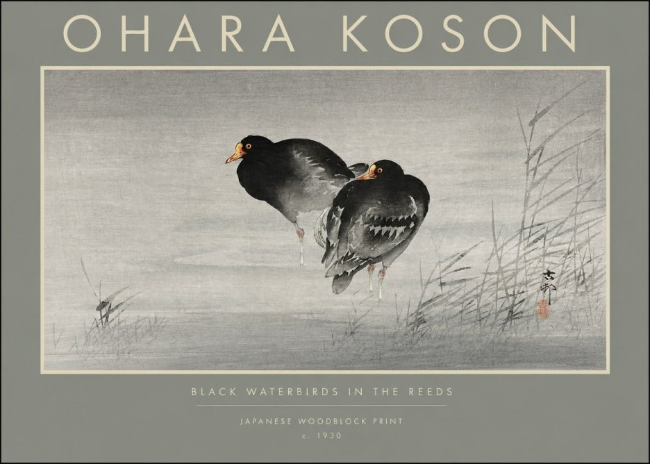 Ohara Koson Black Waterbirds in the Reeds No2 - Affiche