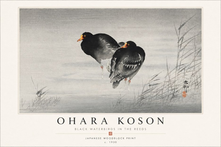 Ohara Koson Black Waterbirds in the Reeds No4 - Affiche