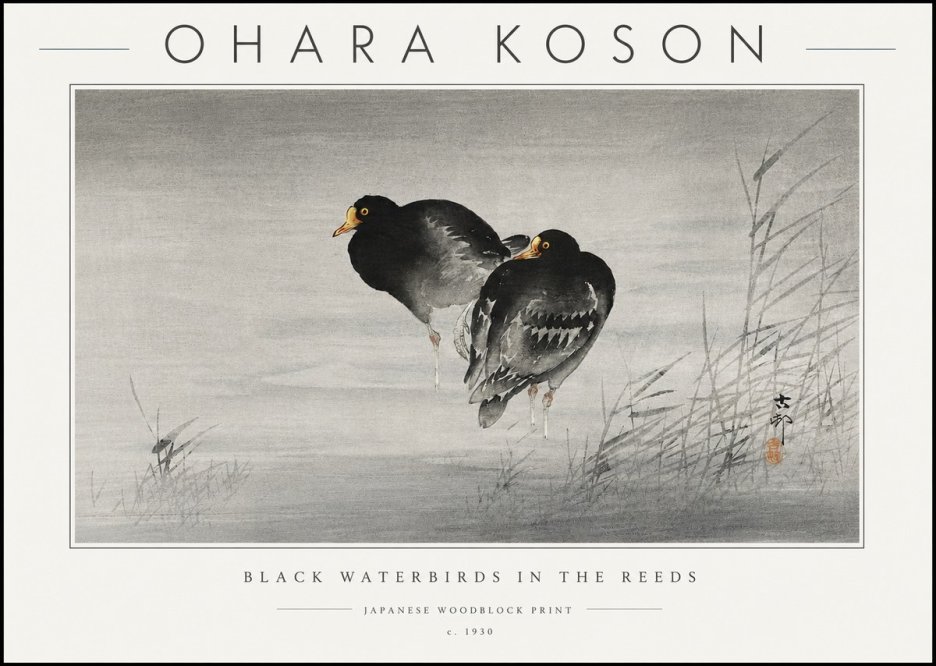 Ohara Koson Black Waterbirds in the Reeds No6 - Affiche
