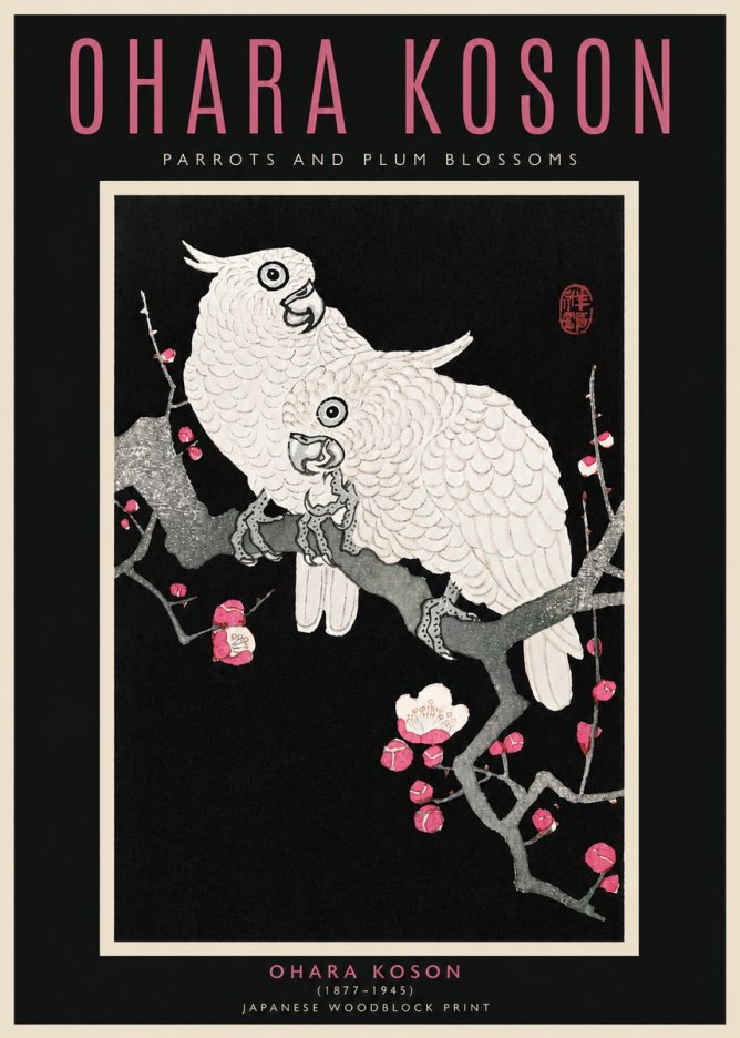 Ohara Koson Parrots and Plum Blossoms No4 - Affiche