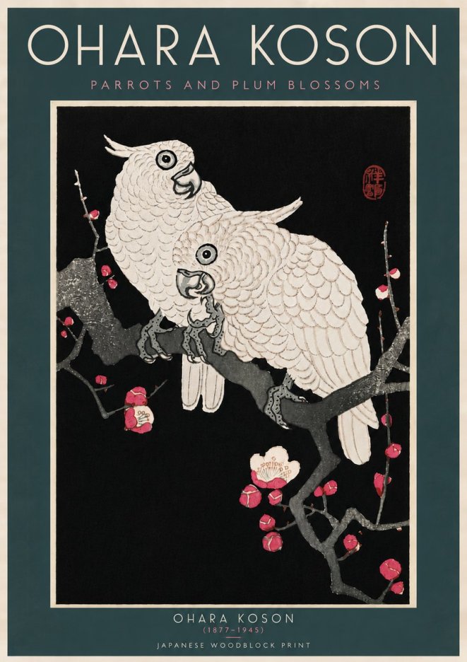 Ohara Koson Parrots and Plum Blossoms No6 - Affiche