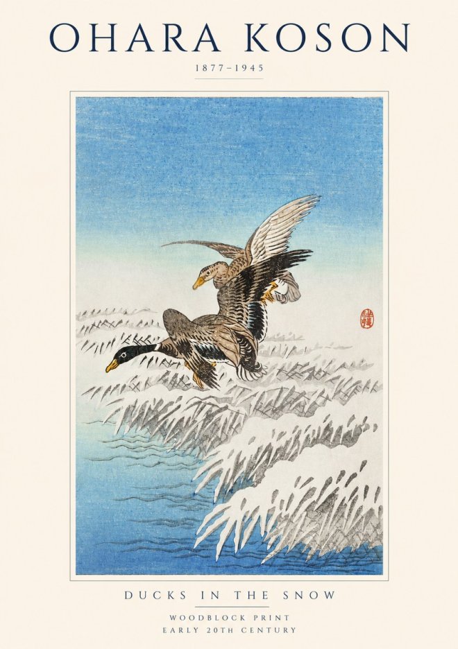 Ohara Koson Ducks in the Snow No1 - Affiche