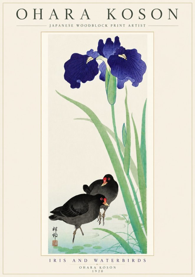 Ohara Koson Iris and Waterbirds No5 - Affiche