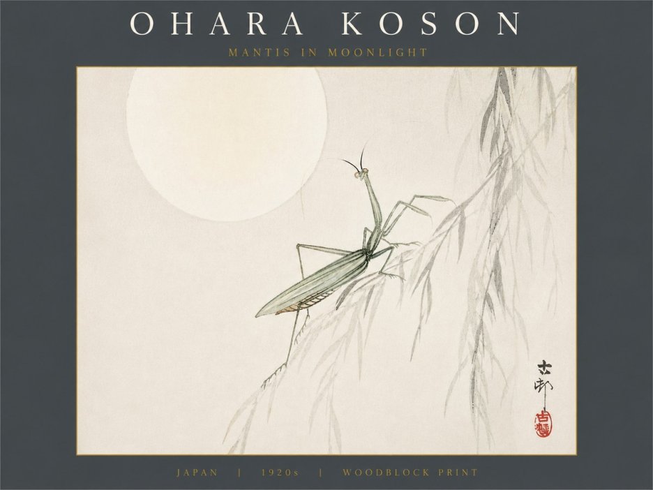 Ohara Koson Mantis in Moonlight No6 - Affiche