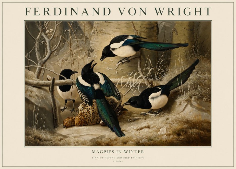 Ferdinand von Wright Magpies in Winter No1 - Affiche