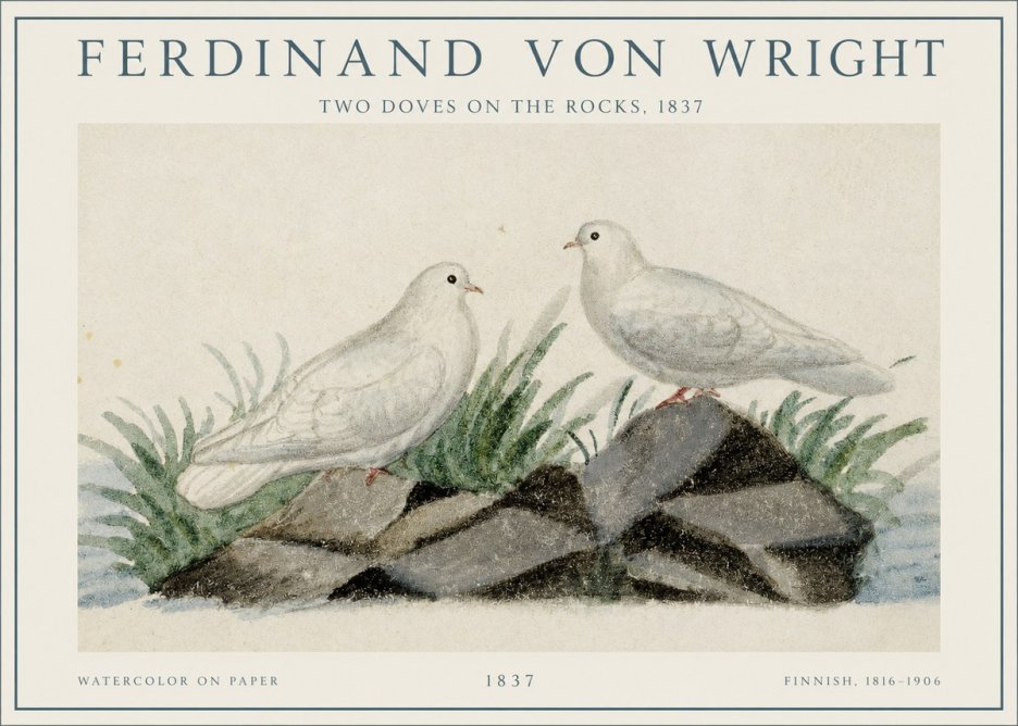 Ferdinand von Wright Two Doves on the Rocks, 1837 No1 - Affiche