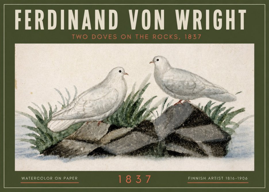Ferdinand von Wright Two Doves on the Rocks, 1837 No2 - Affiche