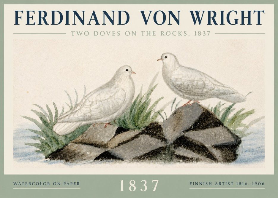 Ferdinand von Wright Two Doves on the Rocks, 1837 No3 - Affiche