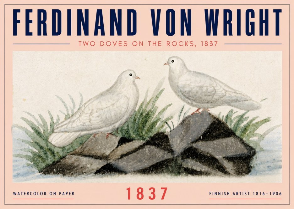 Ferdinand von Wright Two Doves on the Rocks, 1837 No4 - Affiche