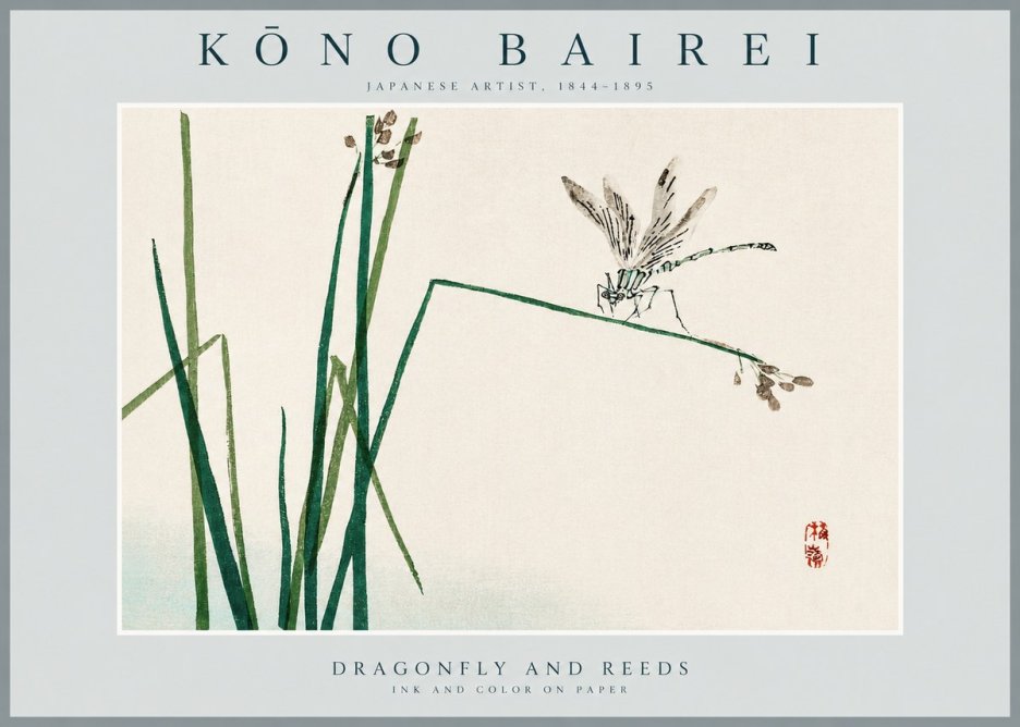Kōno Bairei Dragonfly and Reeds No2 - Affiche