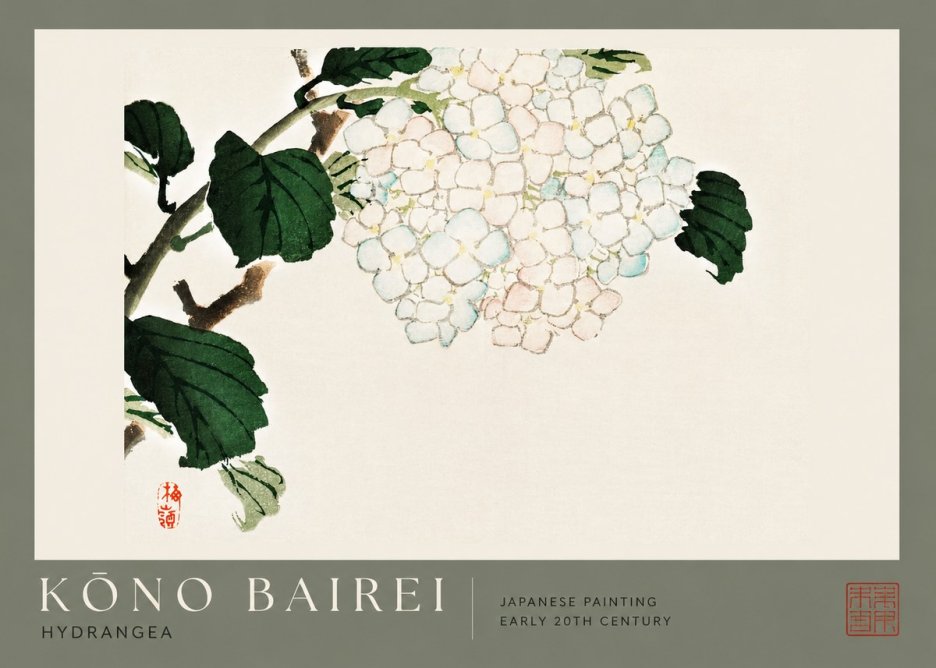 Kōno Bairei Hydrangea No2 - Affiche