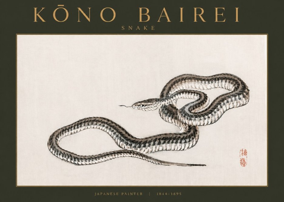 Kōno Bairei Snake No3 - Affiche
