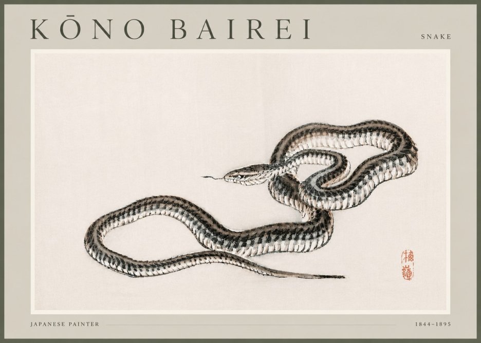 Kōno Bairei Snake No4 - Affiche