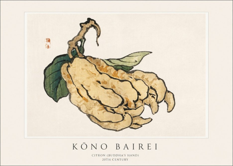 Kōno Bairei Citron (Buddha's Hand) No1 - Affiche