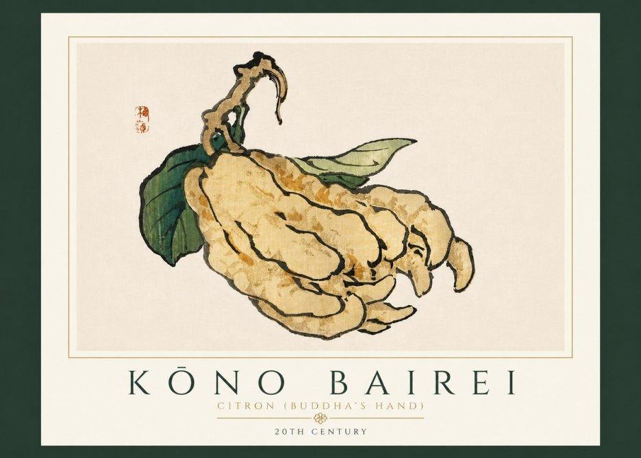 Kōno Bairei Citron (Buddha's Hand) No6 - Affiche