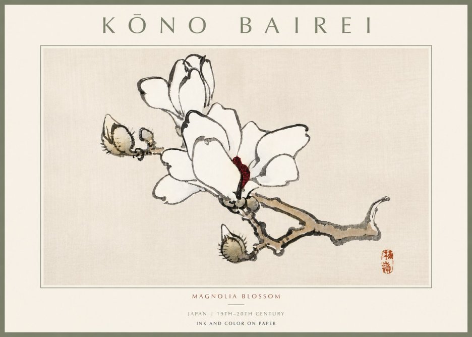 Kōno Bairei Magnolia Blossom No5 - Affiche