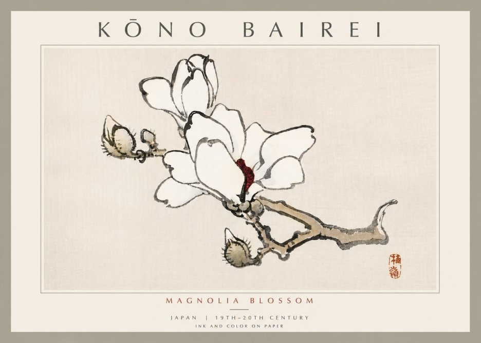Kōno Bairei Magnolia Blossom No6 - Affiche