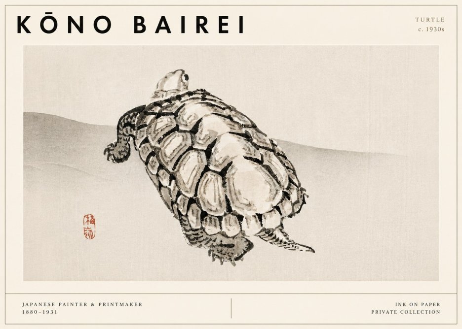 Kōno Bairei Turtle No3 - Affiche