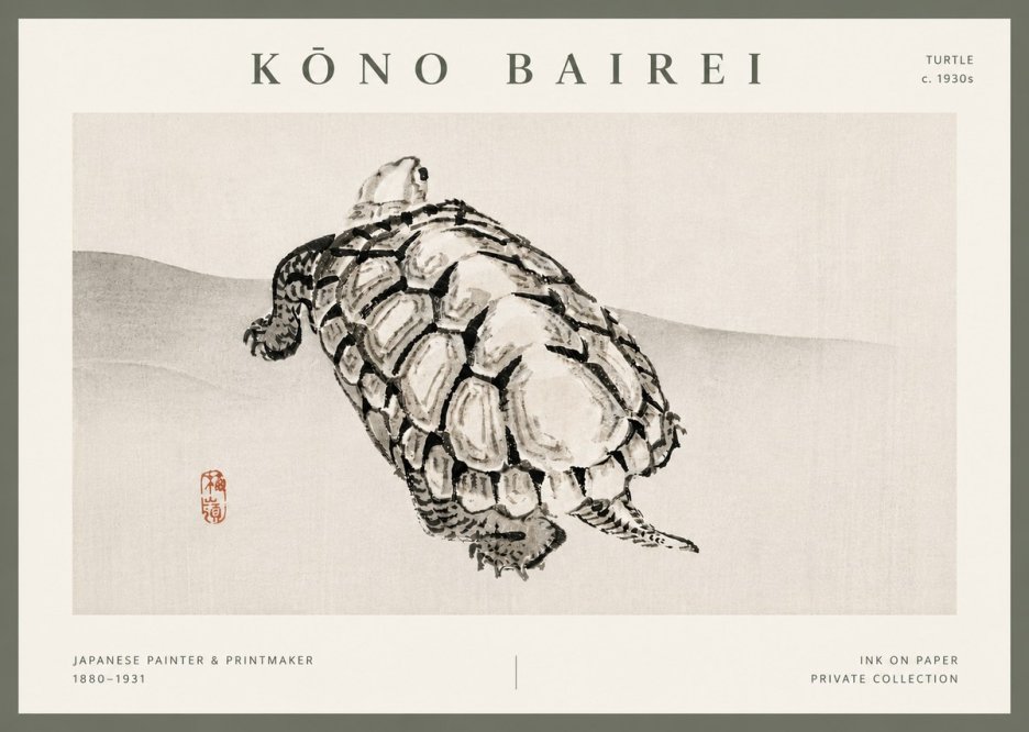 Kōno Bairei Turtle No5 - Affiche