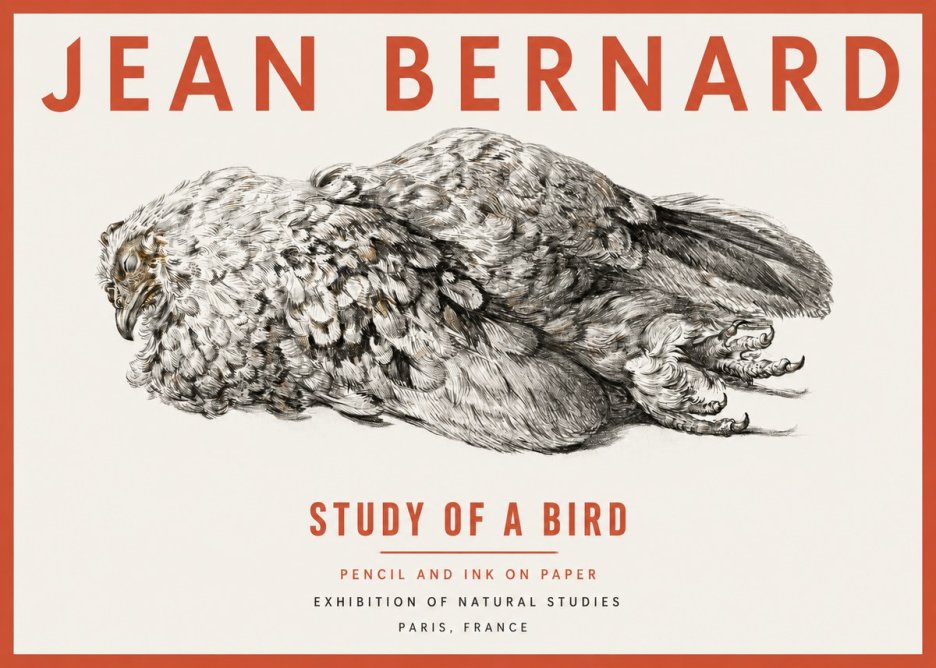 Jean Bernard Study of a Bird I No2 - Affiche