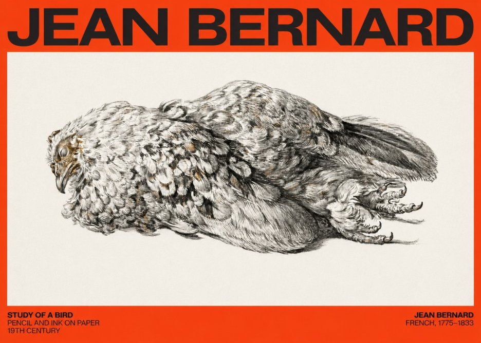 Jean Bernard Study of a Bird I No4 - Affiche
