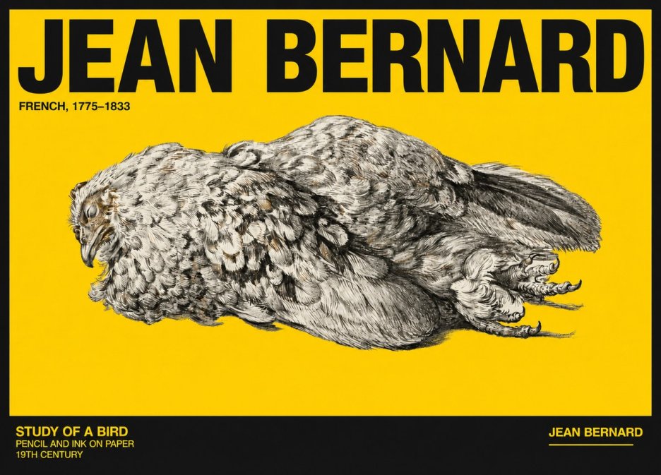 Jean Bernard Study of a Bird I No6 - Affiche