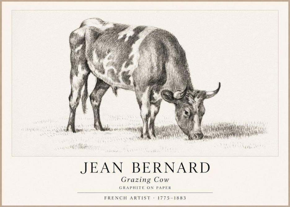 Jean Bernard Grazing Cow I No1 - Affiche