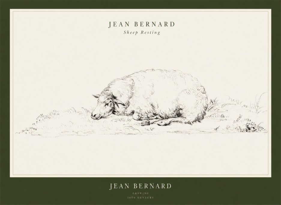 Jean Bernard Sheep Resting on the Ground No3 - Affiche