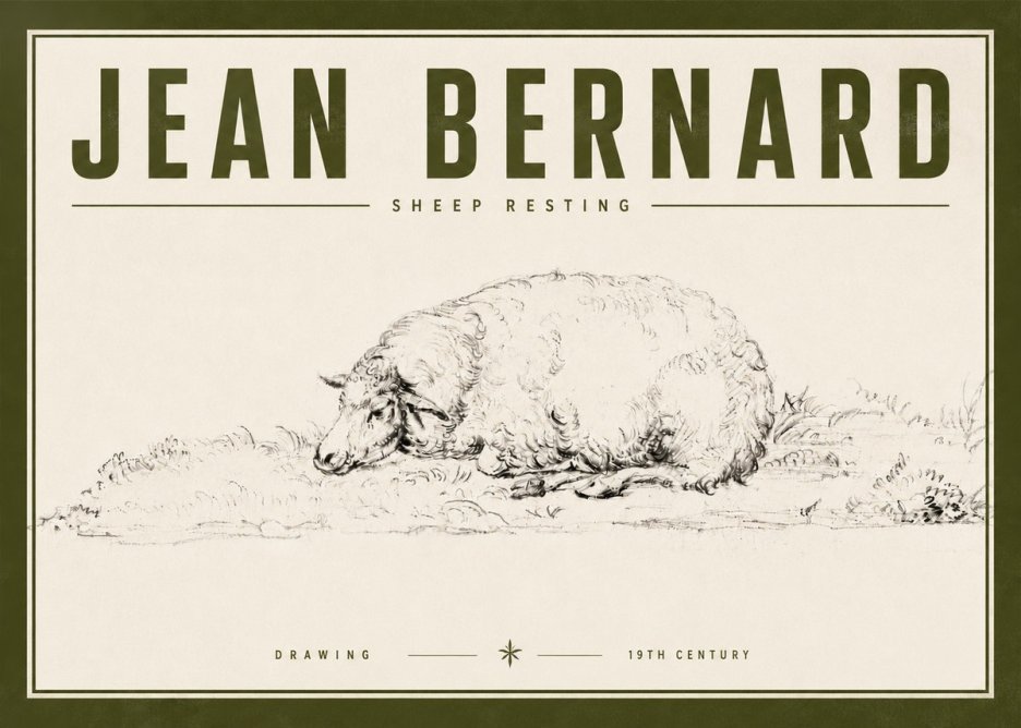 Jean Bernard Sheep Resting on the Ground No6 - Affiche