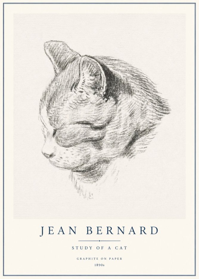 Jean Bernard Cat Study I No3 - Affiche