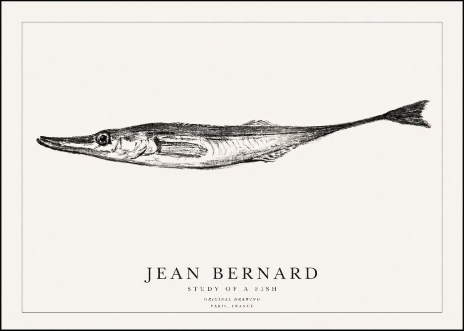 Jean Bernard Study of a Fish I No1 - Affiche