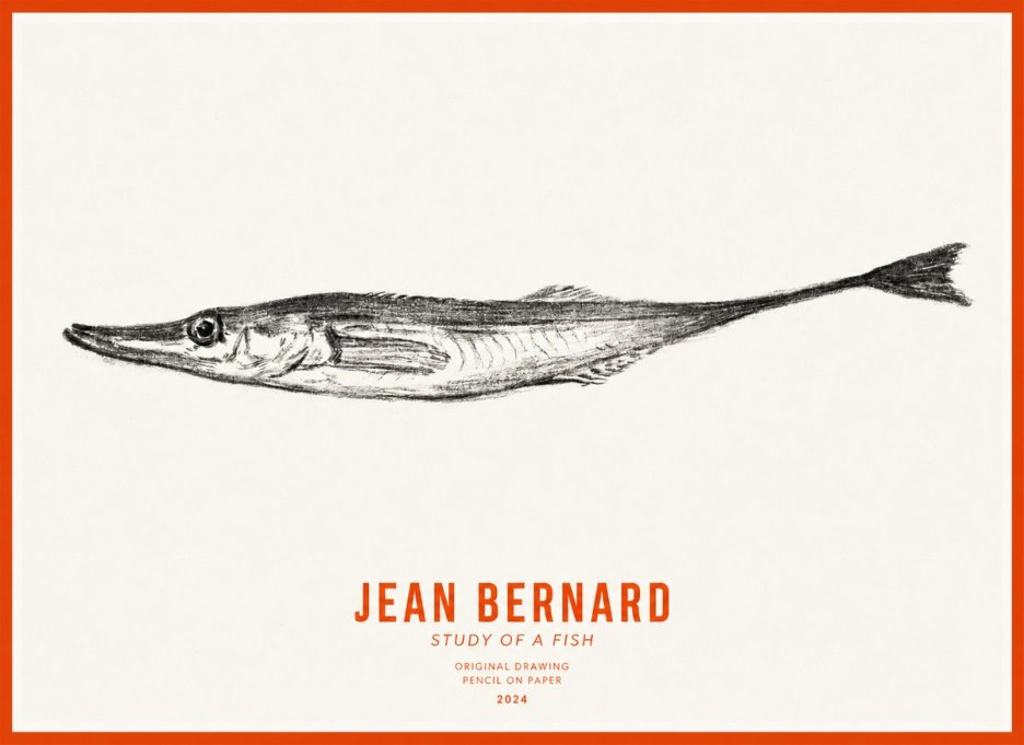 Jean Bernard Study of a Fish I No3 - Affiche