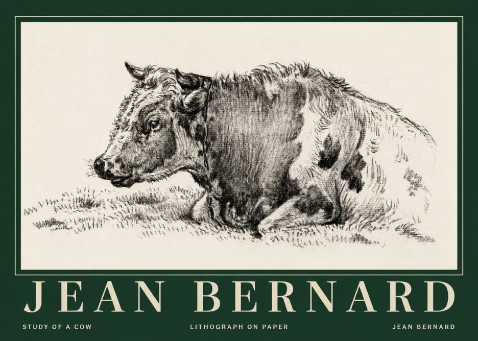 Jean Bernard Resting Cow I No5 - Affiche