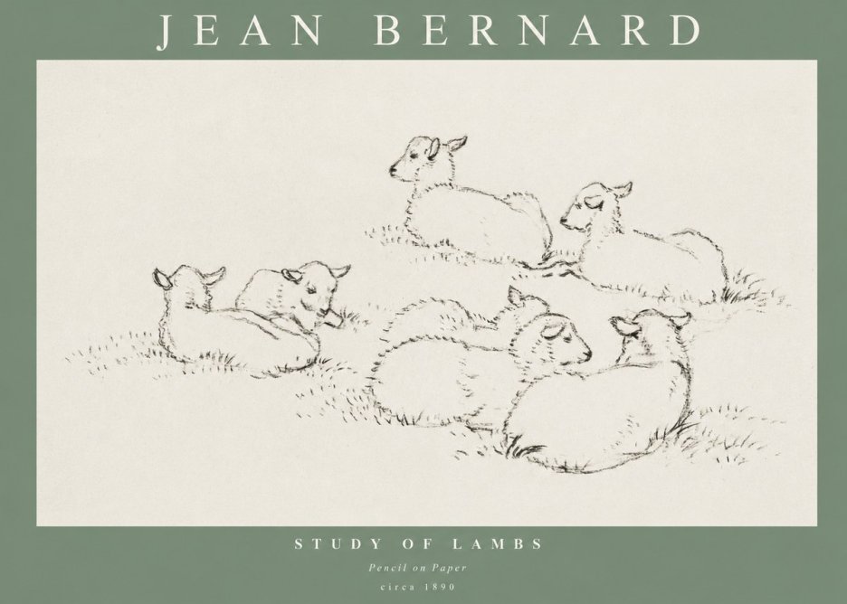 Jean Bernard Study of Lambs No1 - Affiche