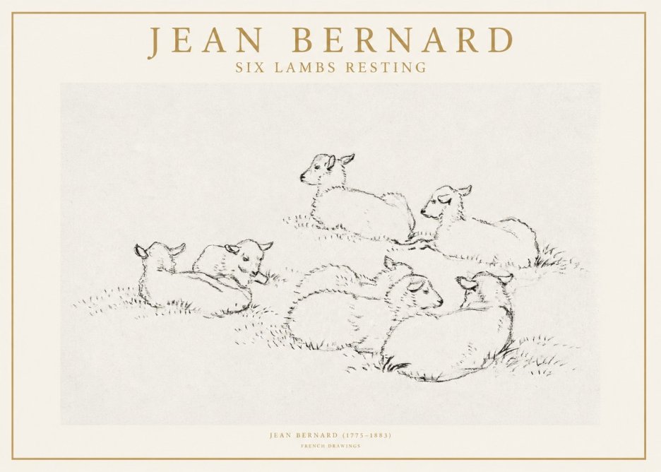 Jean Bernard Study of Lambs No2 - Affiche