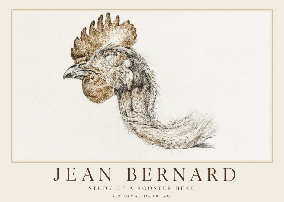 Jean Bernard Study of a Rooster Head No1 - Affiche