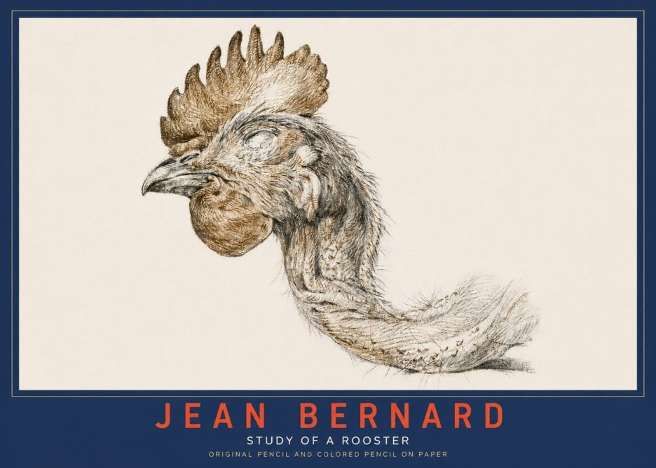 Jean Bernard Study of a Rooster Head No3 - Affiche