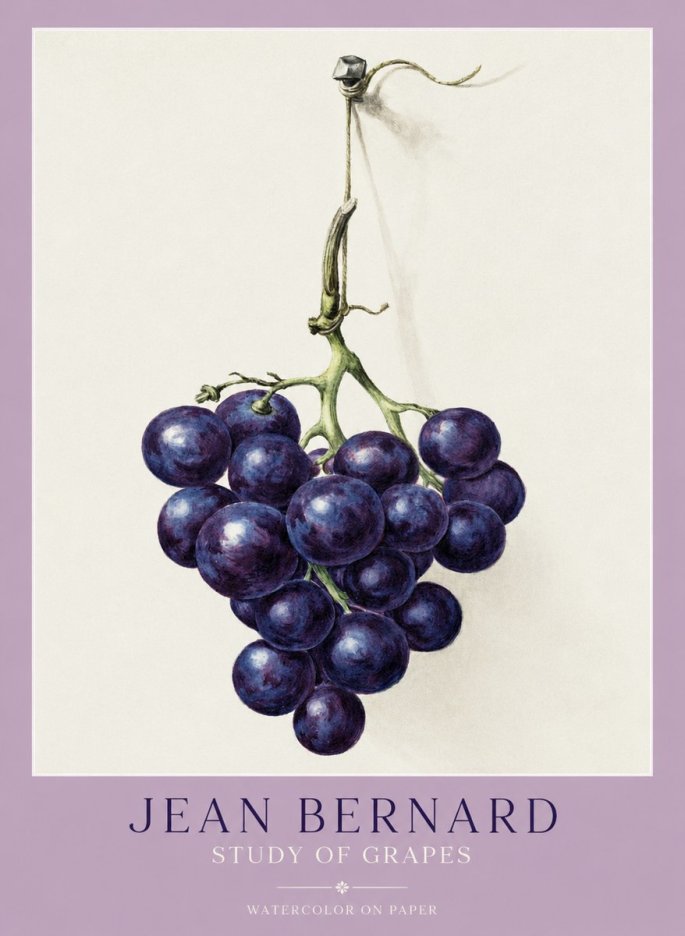 Jean Bernard Grapes No2 - Affiche