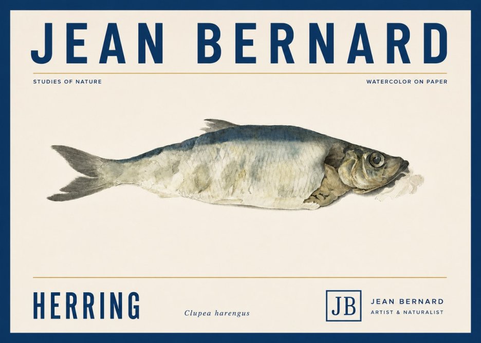 Jean Bernard Herring No5 - Affiche