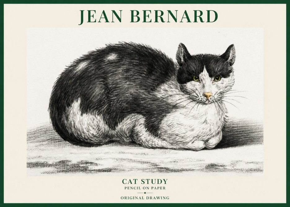 Jean Bernard Cat Study II No6 - Affiche