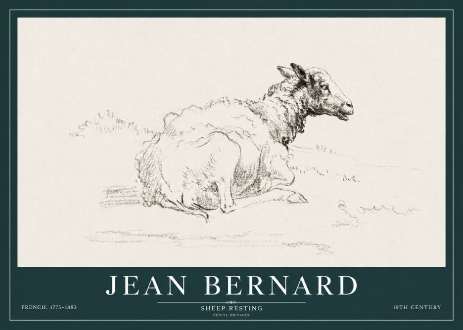 Jean Bernard Sheep Resting No3 - Affiche