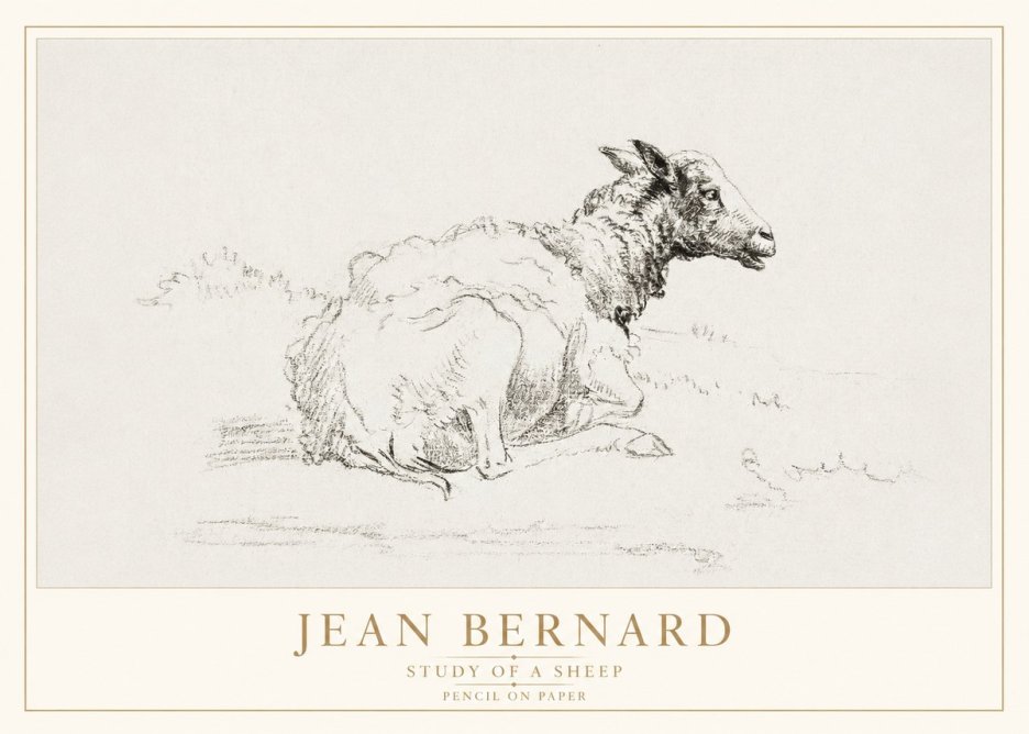 Jean Bernard Sheep Resting No4 - Affiche
