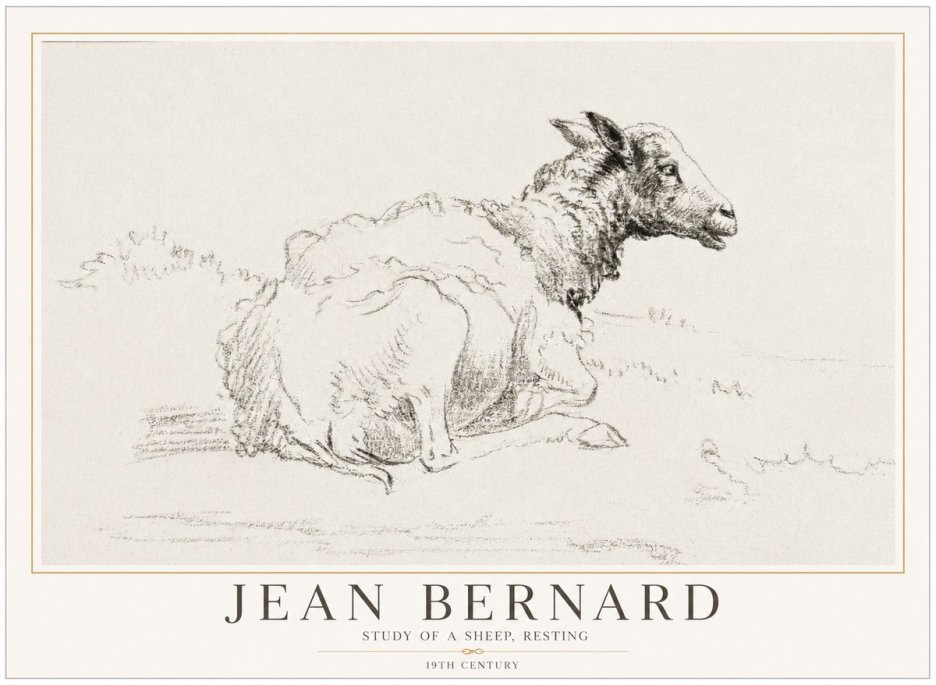 Jean Bernard Sheep Resting No5 - Affiche