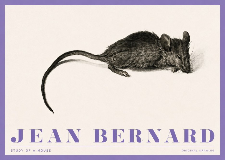 Jean Bernard Study of a Mouse I No4 - Affiche