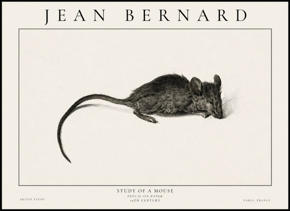 Jean Bernard Study of a Mouse I No6 - Affiche