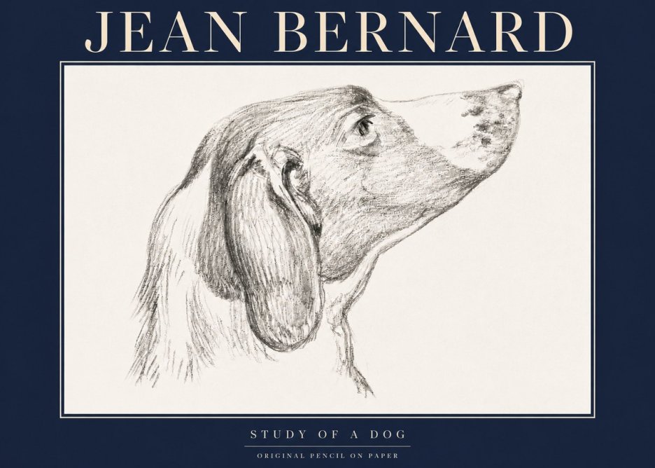 Jean Bernard Study of a Dog I No4 - Affiche