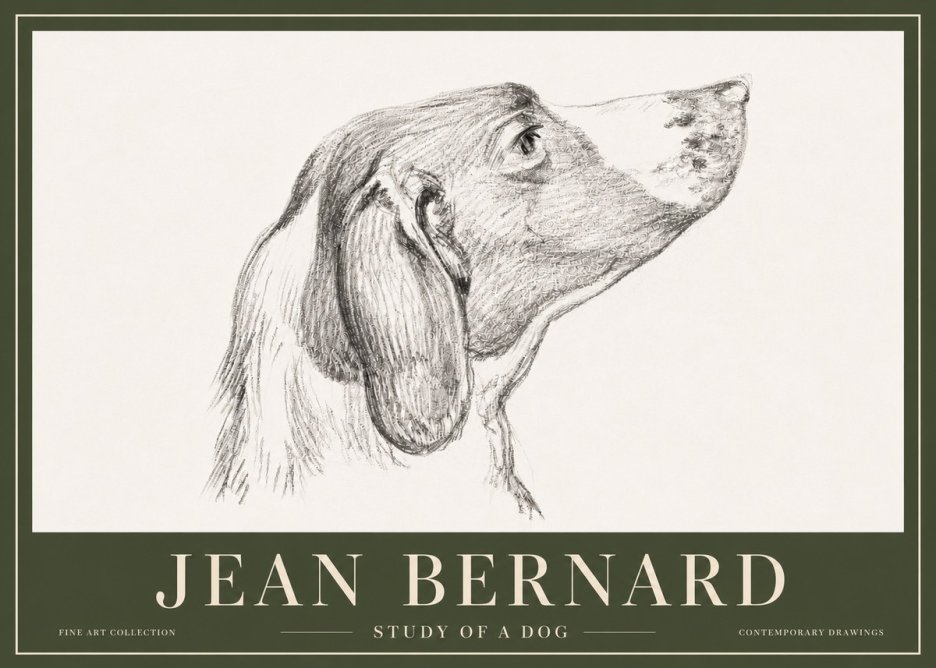 Jean Bernard Study of a Dog I No5 - Affiche